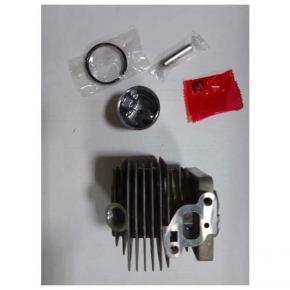  Поршневая  (Echo SRM2655SI) IGP