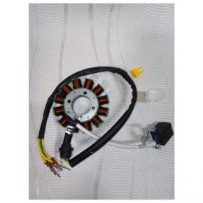  Статор  (ZS174MN-3) CB250 12катушек(5проводов)